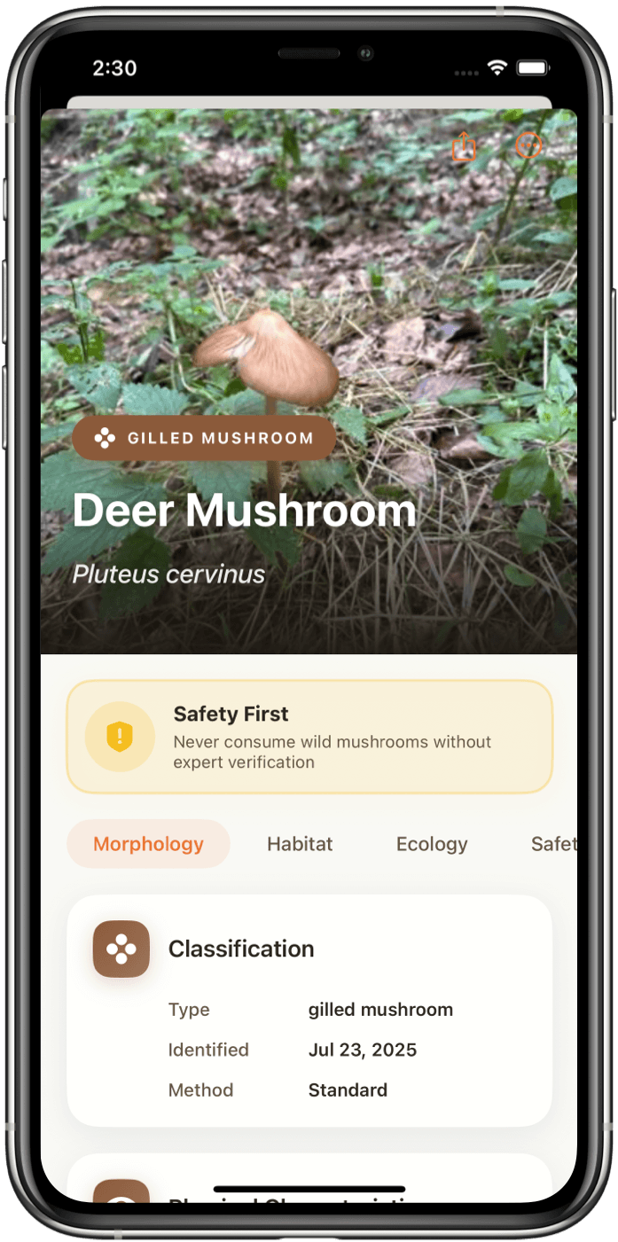 Mushroom Identifier App Interface