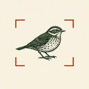 Bird Identifier app icon