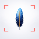 Feather Identifier app icon